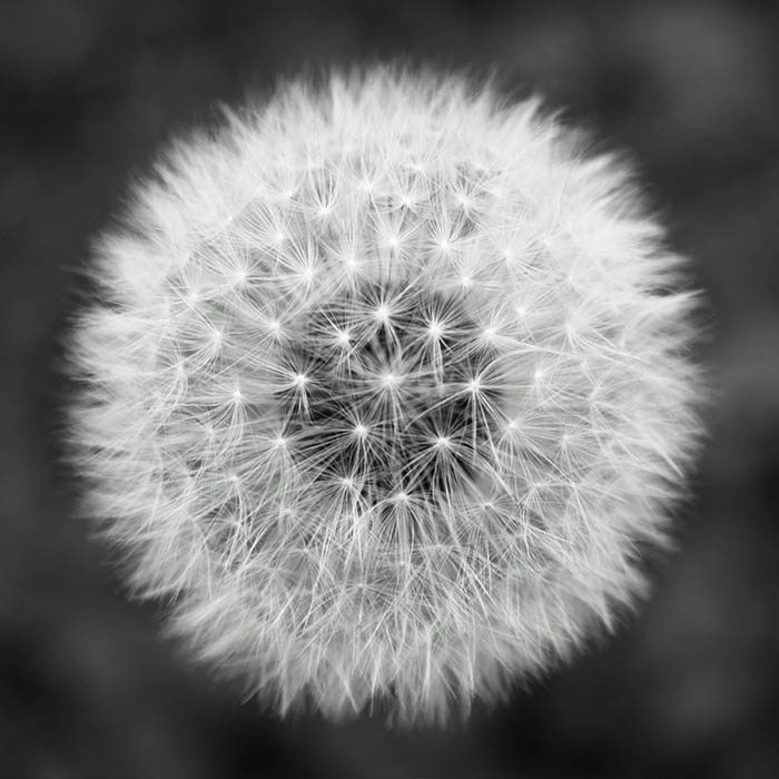 Portfolio item 1